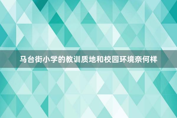 马台街小学的教训质地和校园环境奈何样
